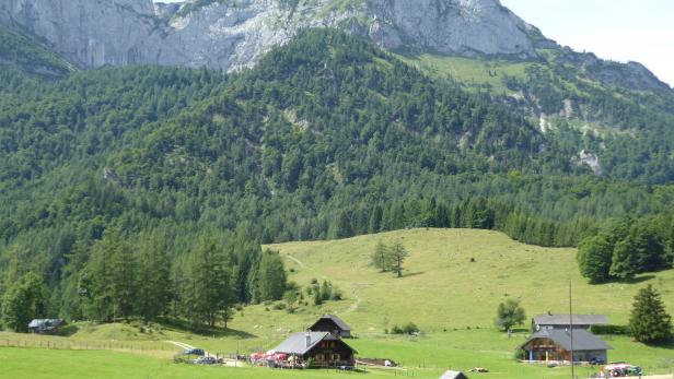 Österreich machte fehlerhafte Angaben über die Größe von Almflächen.
