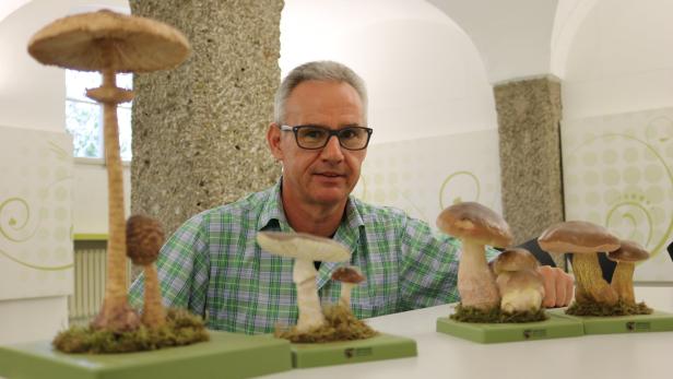 Thomas Rücker, Mykologe im Haus der Natur in Salzburg.
