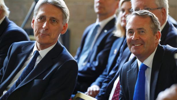 Hammond (l.) gilt als Pro-Europäer, Fox als Brexit-Befürworter.