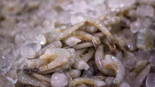 Keine Shrimps mehr aus Nordkorea