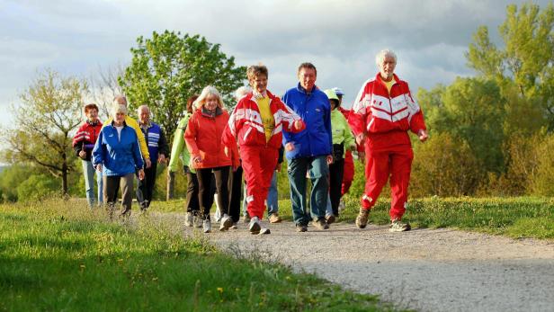 Eine Gruppe älterer Menschen geht auf einem Feldweg spazieren.