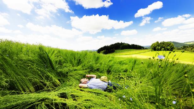 Leinen los: Stefan Fölser genießt die Natur in seinem blühenden Leinfeld