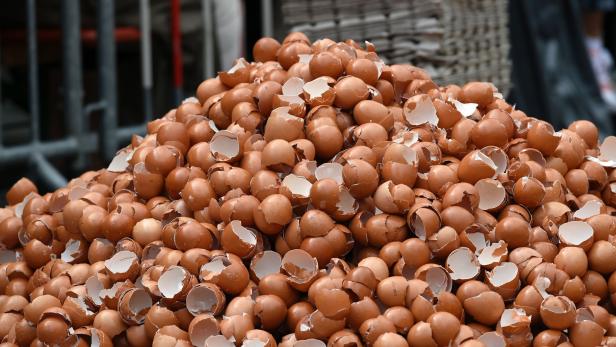 Tausende Eierschalen liegen auf einem Haufen.