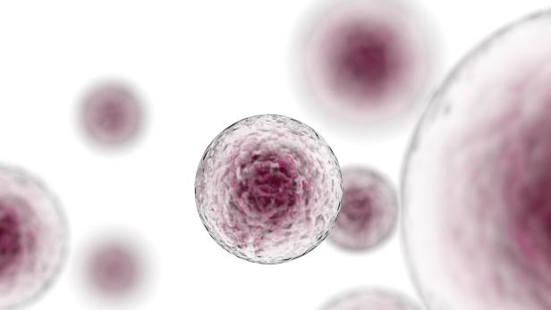Stammzellen: Vieles, was angeboten wird, ist nicht seriös - und nicht zugelassen.