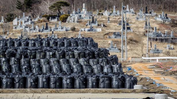 Ein treffendes Sinnbild für die Atomkatastrophe: Berge von Plastiksäcken, gefüllt mit verseuchter Erde aus der Fukushima-Region, dahinter ein Friedhof.