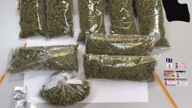 Von der Polizei sichergestellte Cannabispflanzen und gefälschte Ausweise
