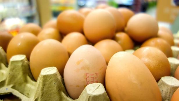 Seit dem Bekanntwerden des Skandals wurden riesige Mengen an Eiern vernichtet.