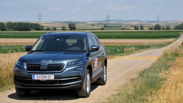 Ein grauer Škoda Kodiaq steht auf einem Feldweg.