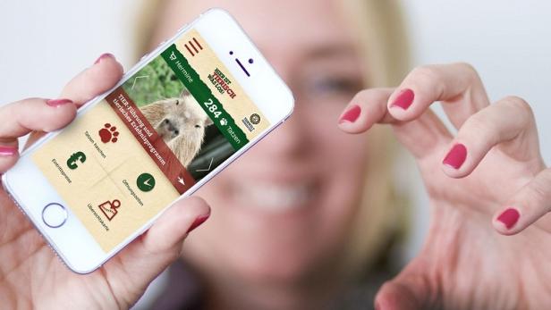 Tierwelt Herberstein mobilisiert Tatzensammler
