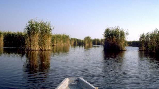 Seltenheit. Der Neusiedler See gehört zu den in Europa wenig verbreiteten Steppenseen.