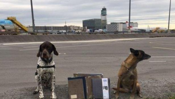 Kolumbianische Schmugglerin am Flughafen Schweacht festgenommen