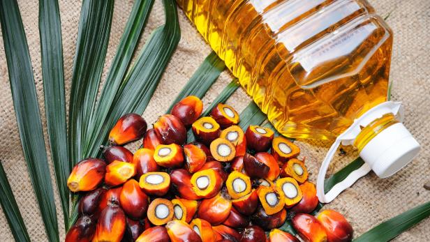 Palmöl: Diskussion um Umwelt- und Gesundheitsgefahren.