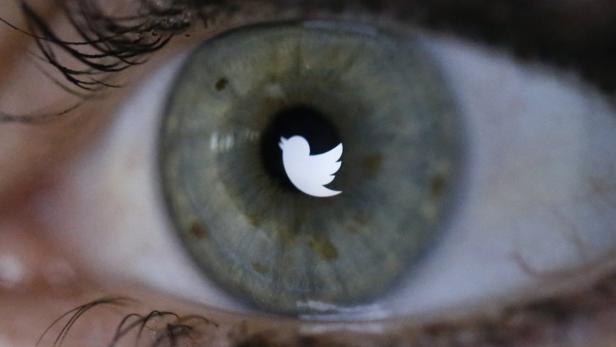 Das Twitter-Logo spiegelt sich in einem menschlichen Auge.