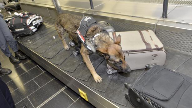 Spürhunde-Einsatz am Wiener Flughafen verstörte türkische Passagiere