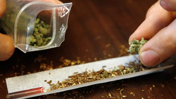 Drogenring im Steyrtal verkaufte Marihuana um 150.000 Euro
