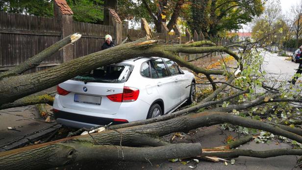 In St. Pölten wurde ein Auto von einem Baum getroffen.