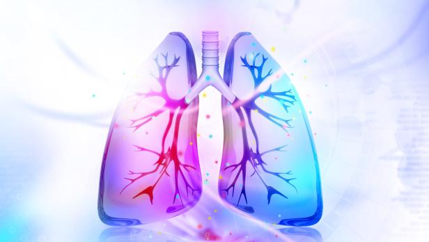 Fünf Prozent der Bevölkerung sind von COPD betroffen.