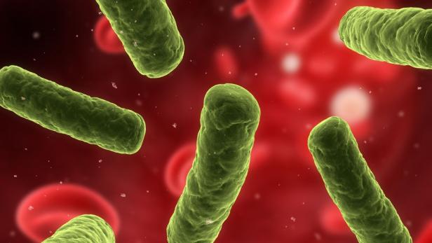 Viele Auswirkungen des Mikrobioms sind noch unerforscht.