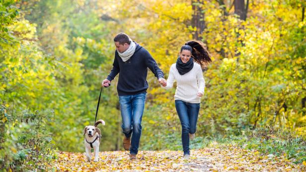 Mit Hunden steigt die Lebenszufriedenheit - und generell die Gesundheit.
