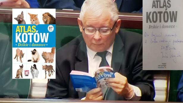Kaczyńskis Katzen-Buch wird versteigert