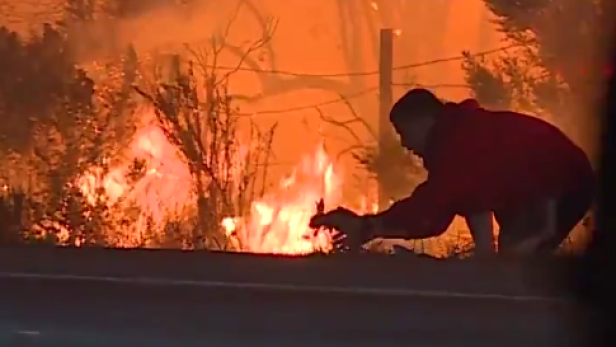 Virales Video: Mann rettet Hasen vor Flammen