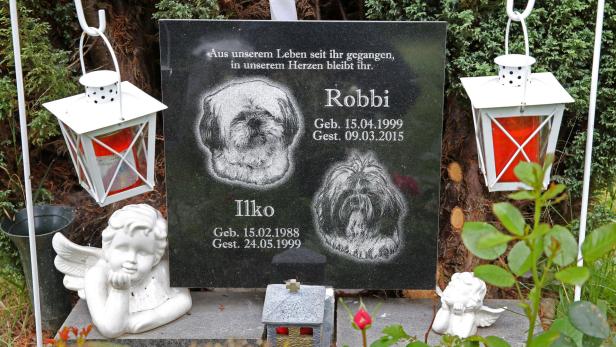 In Zukunft sollen Hunde und Katzen auch im Burgenland ein Grab bekommen können