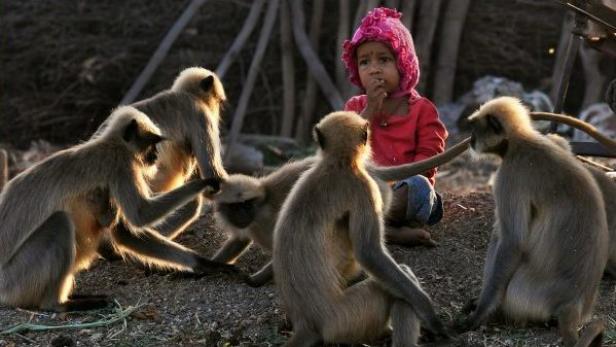 Samarth Bangari mit den Affen