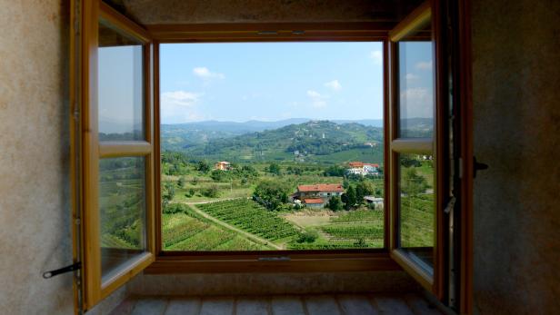 Blick auf das Weinland