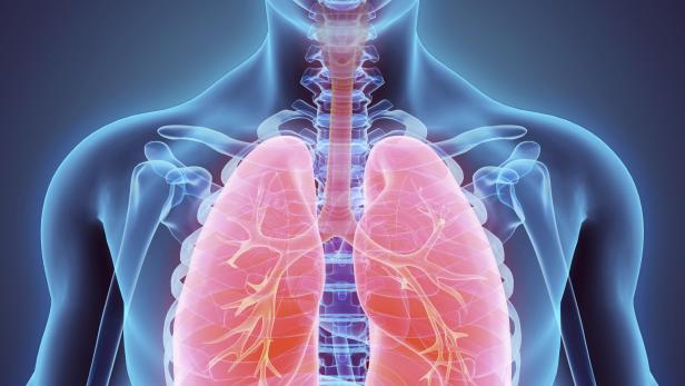 COPD: Neuer Therapie-Ansatz gibt Hoffnung