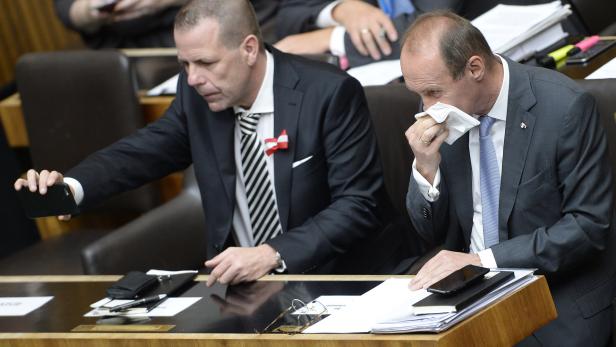 Die beiden Europa-Abgeordneten Harald Vilimsky (FPÖ, L.) und Othmar Karas (ÖVP)