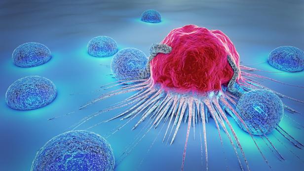 Abwehrzellen attackieren eine Krebszelle.