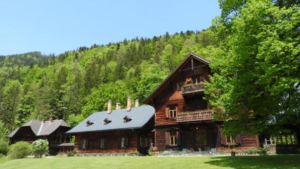 Prinzhorn kauft letzten Rothschild-Wald in Österreich