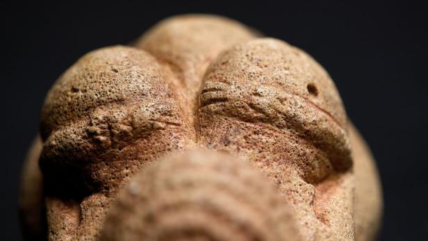 Venus-Falle von Willendorf: Erotisches aus der Steinzeit
