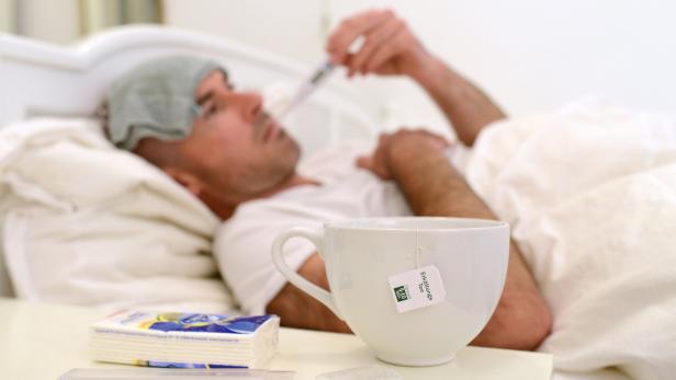 Erstmals Rückgang bei Grippe- Neuerkrankungen in Wien