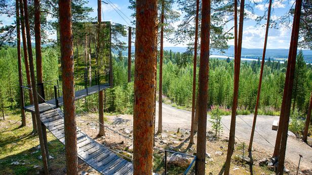 Ein Baumhaus mit Spiegelglasfassade und einem Holzsteg in einem dichten Wald.