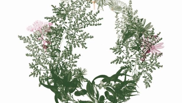 Ein Kranz aus verschiedenen Blumen und Pflanzen auf einem weißen Hintergrund.