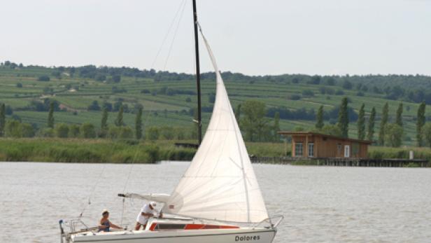 Routen für Genießer: Nationalpark Neusiedler See