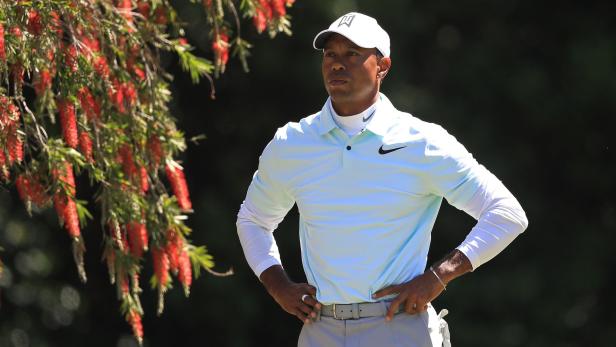 Tiger Woods ist auf einem guten Weg, ganz der alte zu werden. 