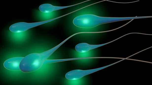 Schlechte Spermien-Qualität kann Grund für Fehlgeburt sein
