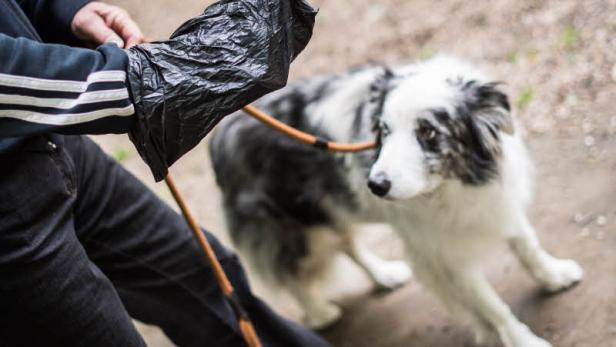 Gackerl-Sackerl: MA48 lenkt ein