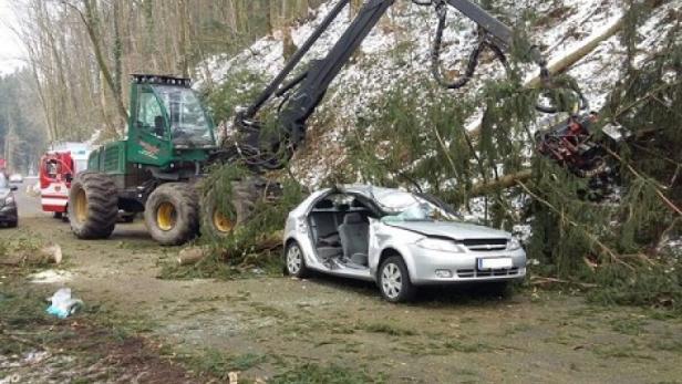 Ferschnitz: Baum krachte auf Auto, Frau starb
