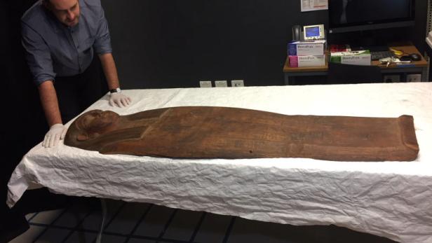 Mumienreste in Sarg gefunden, der 150 Jahre im Museum stand