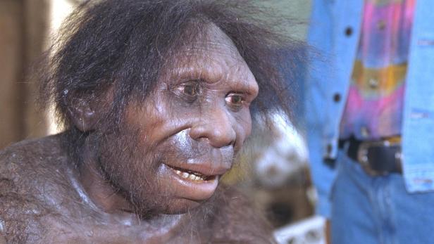 Neandertaler biss nicht so kräftig zu wie bisher gedacht