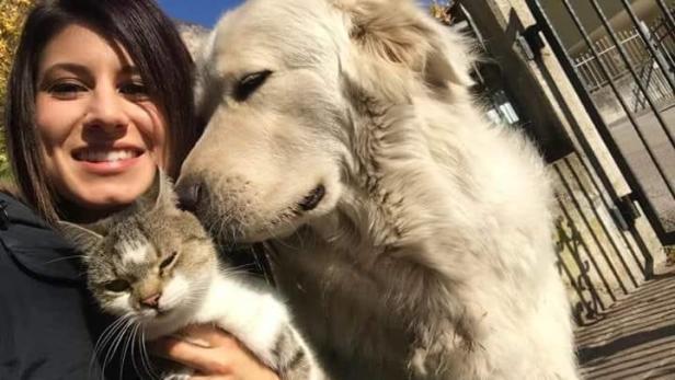 Italien: 190.000 unterstützten Petition für beschlagnahmten Hund
