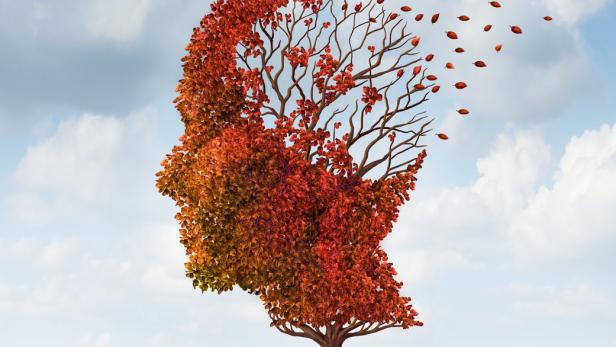Neuer Bluttest kann frühzeitig Alzheimer-Risiko anzeigen