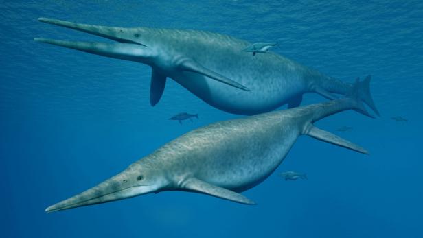 Diese gigantischen Fischsaurier durchpflügten einst die Meere