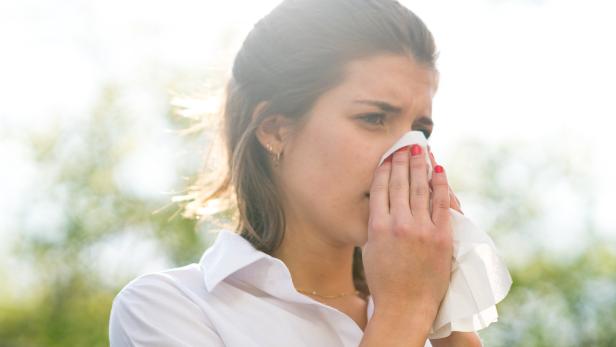 Pollen-Allergie: Wie Aromatherapie Betroffenen hilft