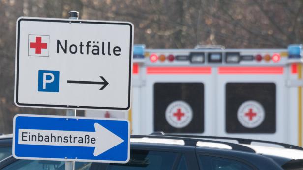 Hund biss in Fontanelle - Baby starb
