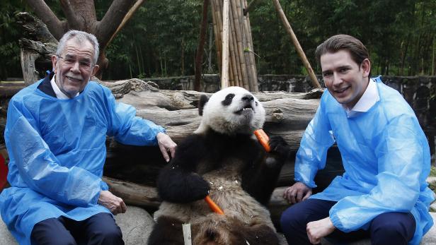 Alexander Van der Bellen und Sebastian Kurz mit Panda Ruji