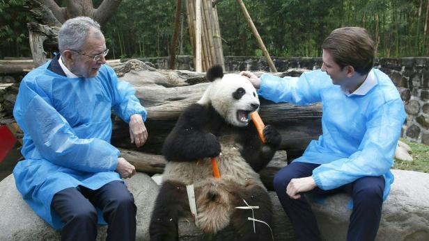 Staatsbesuch in China: Alles Panda, oder war da noch was?